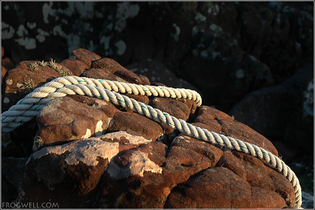 Old rope.jpg